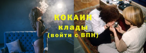 стаф Сафоново