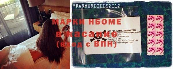ГАЛЛЮЦИНОГЕННЫЕ ГРИБЫ Ростов