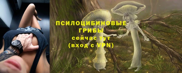 2c-b Заводоуковск