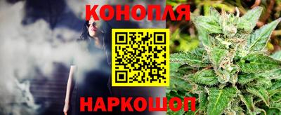 PSILOCYBIN Гусиноозёрск