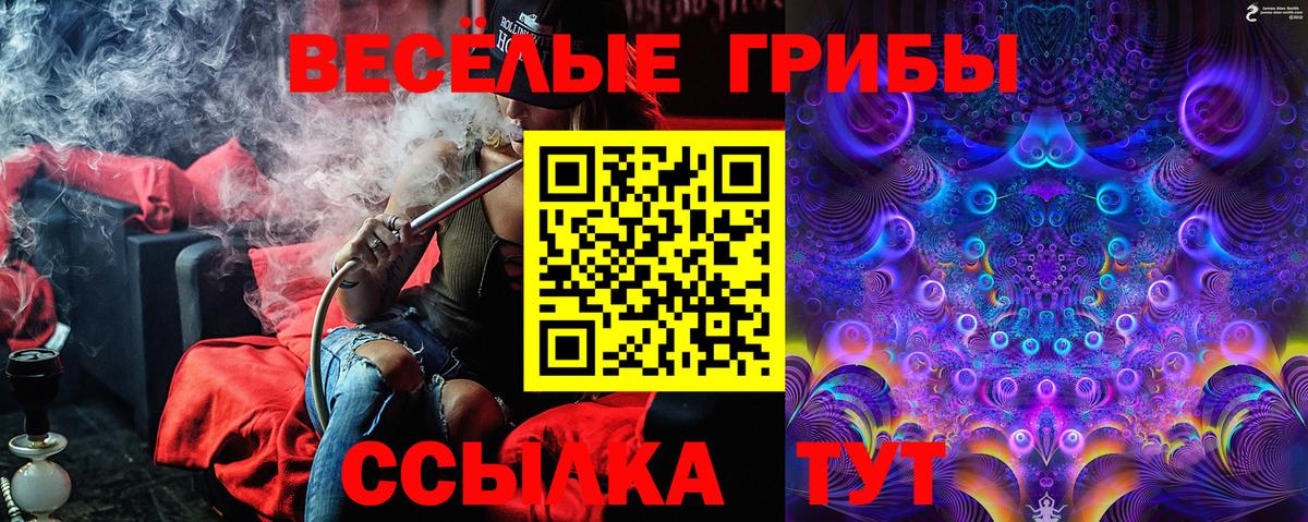 продажа наркотиков  Псилоцибиновые грибы мухоморы  Вход с VPN  Сердобск  Псилоцибиновые грибы GOLDEN TEACHER 