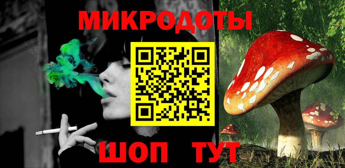 Псилоцибиновые грибы Psilocybe Сердобск