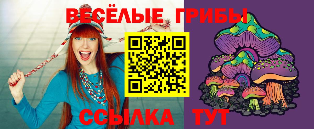 Псилоцибиновые грибы Psilocybine cubensis Сердобск