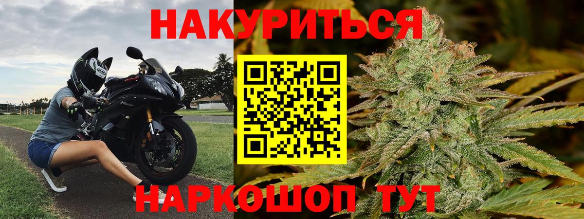 Марихуана сатива Сердобск